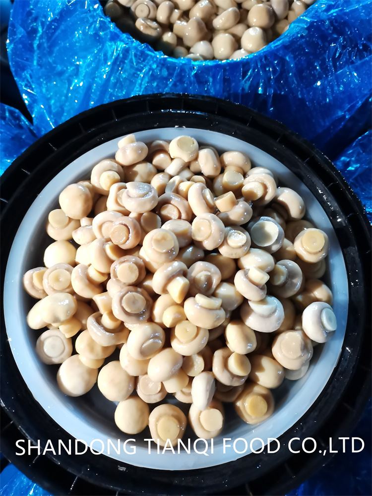 Preserved SO2 mushroom in drums