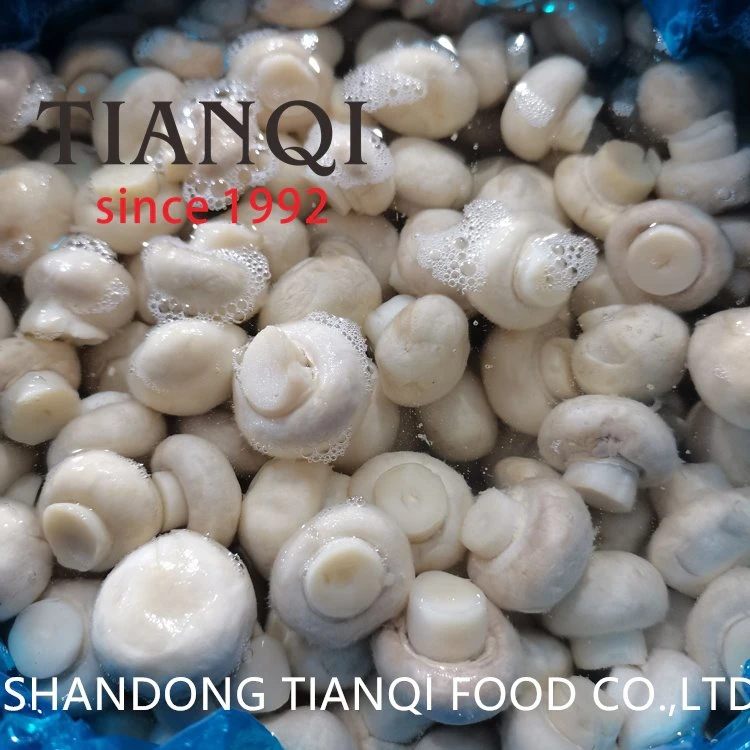 Champignon mushroom in salted water in drums