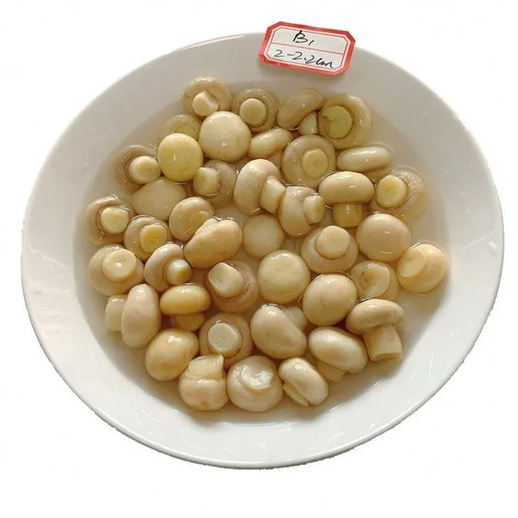 Whole champignon mushroom 2.5-3.0cm in salted water in drums