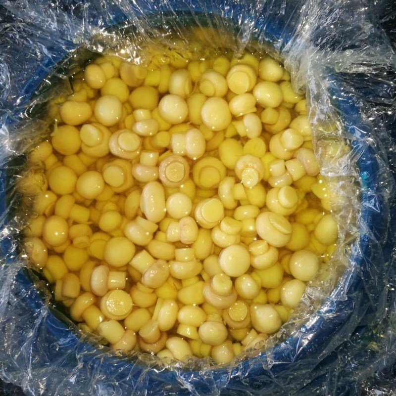 Bolets blancs sencers en tambors