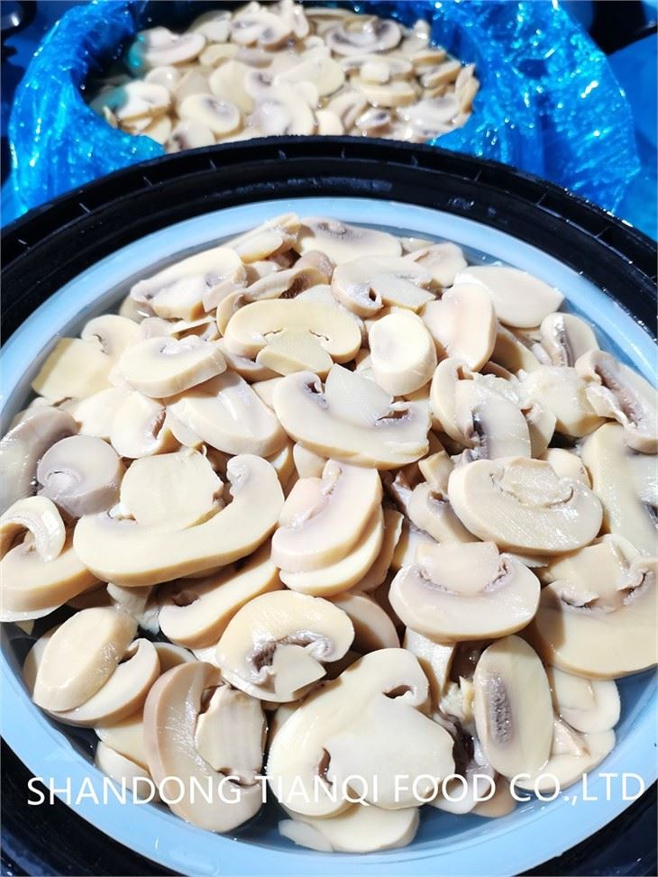 Cogumelo en SO2 en conserva de bolets en tambor