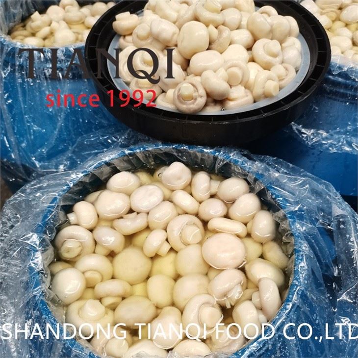 Hot selling white mushroom in drums