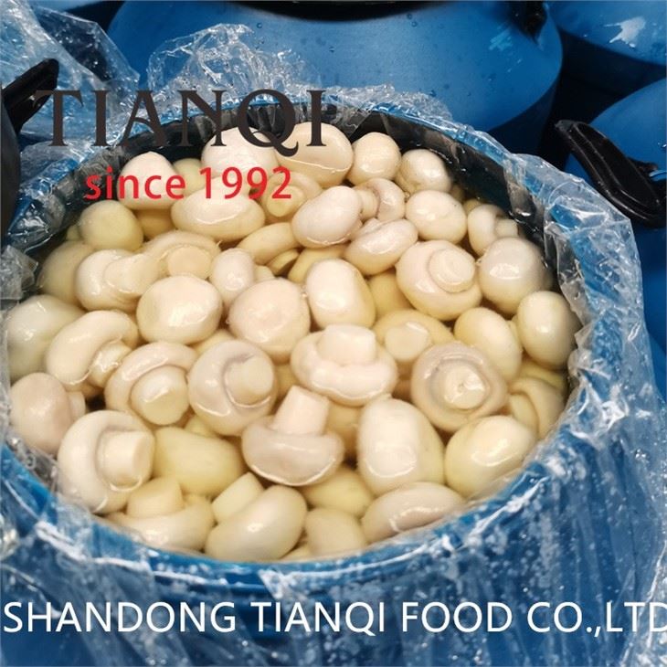 Preserved Fresh white mushroom in brine in drums
