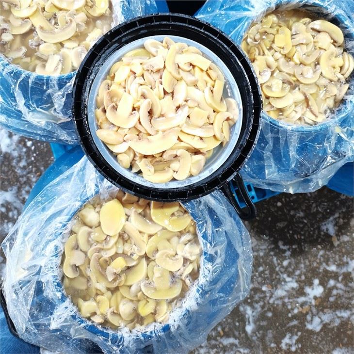 Plastic drum packing PNS white mushroom in brine