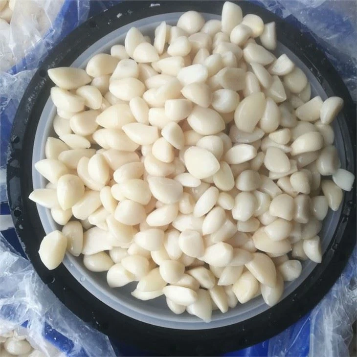 Grans d'all blanc pelats en aigua salada en bidons