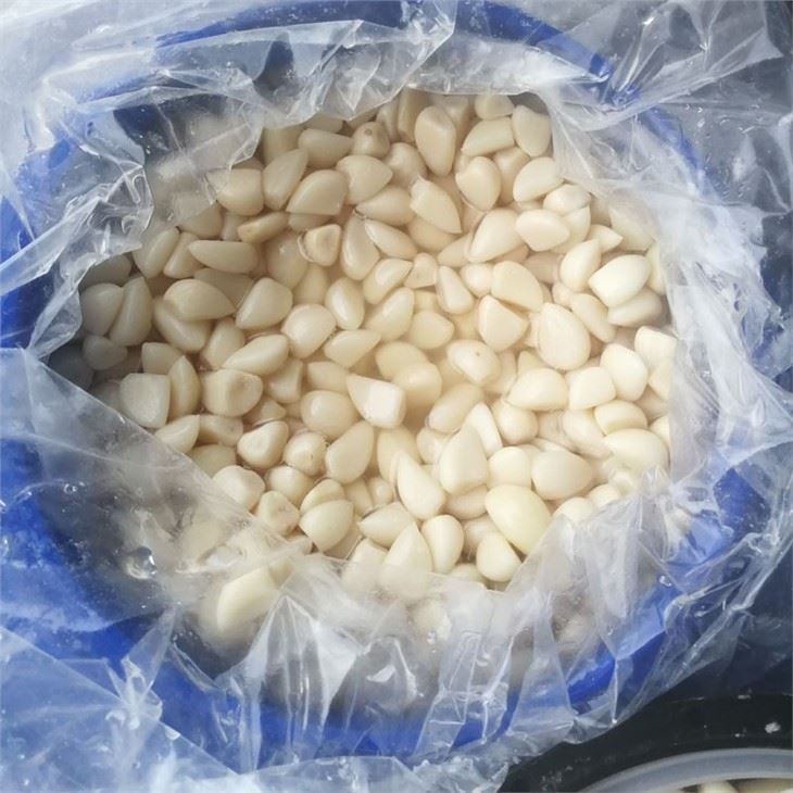 Peeled White Garlic Cloves in Salted Water in Drums