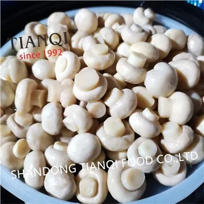 New Crop Bolet de botó blanc en vinagre en bidons