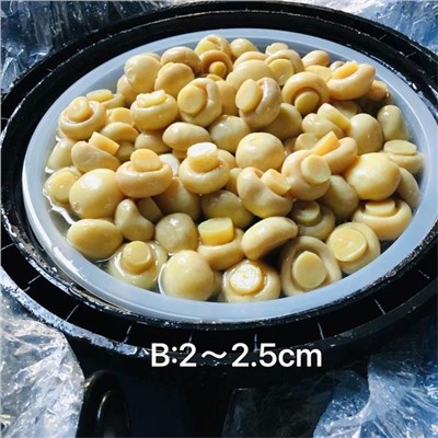 Etiqueta OEM Personalitzada Llesca de Bolet en Salmorra