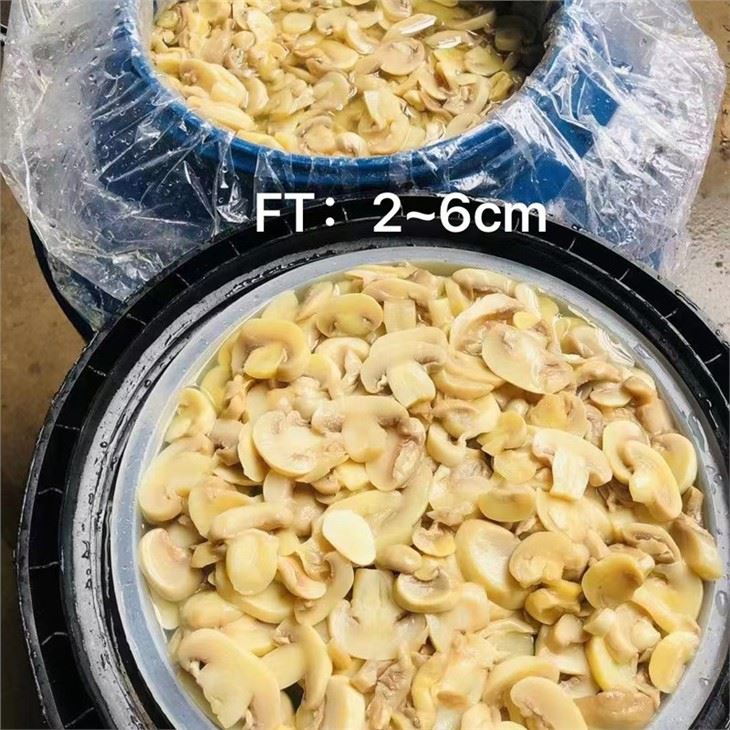 2023 Hot Selling White Champignon Mushroom in Brine in Drums