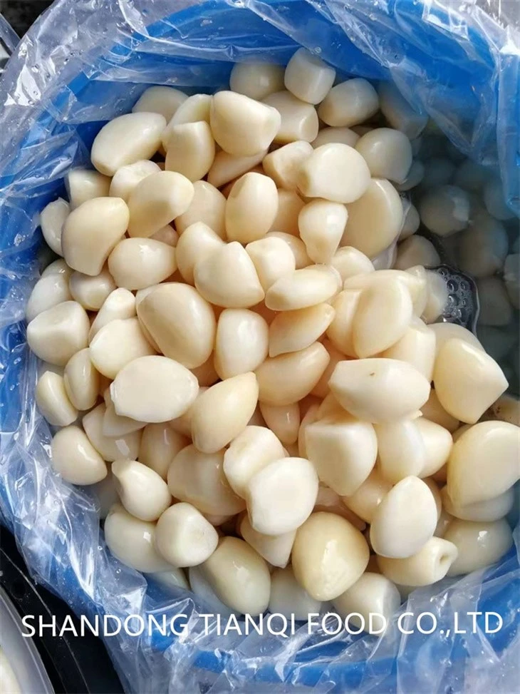 Chinese Peeled Garlic Cloves in Brine in Drums